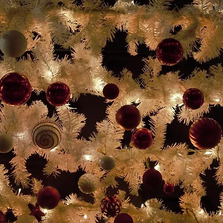 Rooftop Tiny With Shared Jacuzzi And Private Balcony Mk2 דירה *