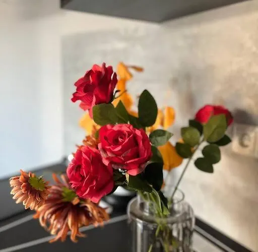 Rooftop Tiny With Shared Jacuzzi And Private Balcony Mk2