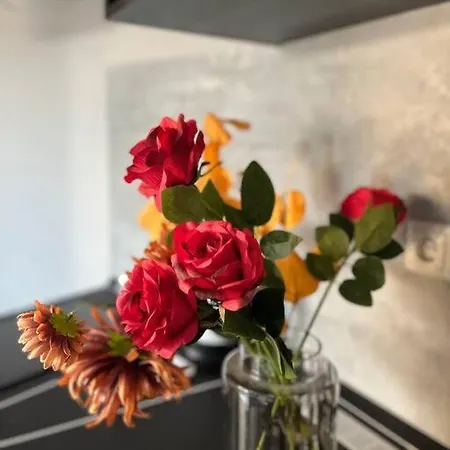 Rooftop Tiny With Shared Jacuzzi And Private Balcony Mk2